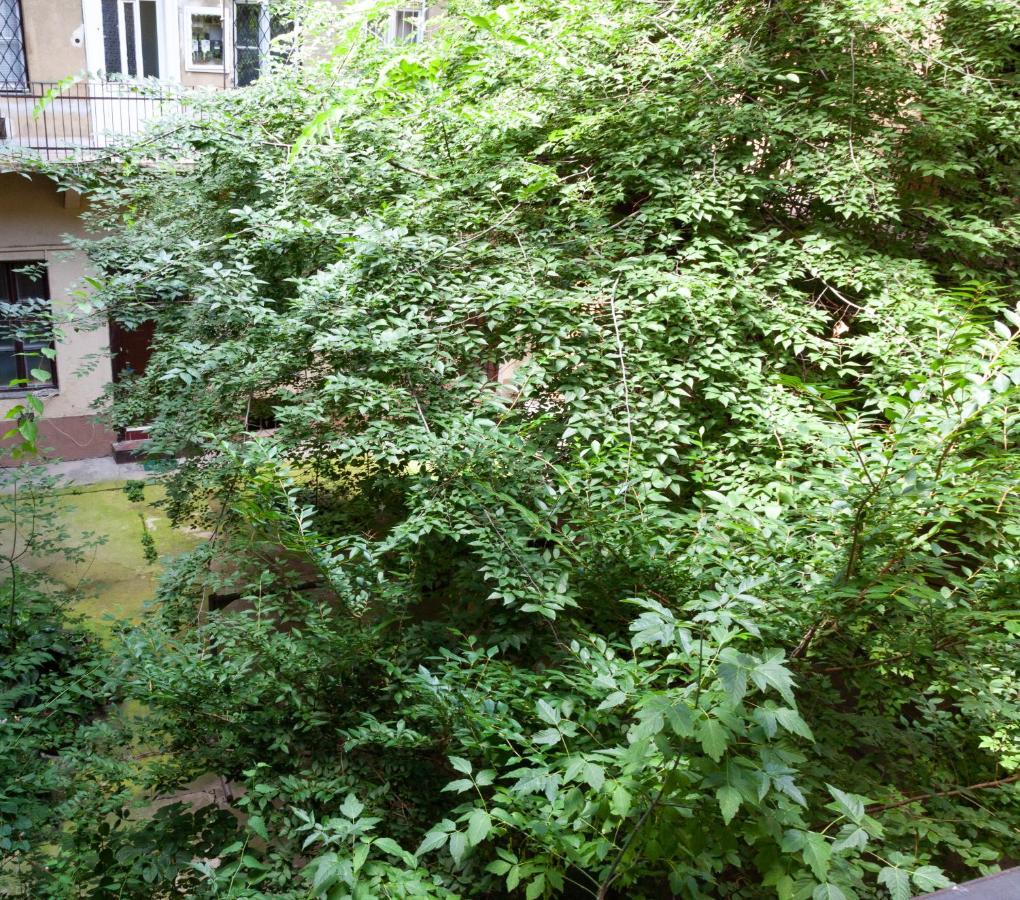 Happy Turtle Apartments Budapest Kültér fotó